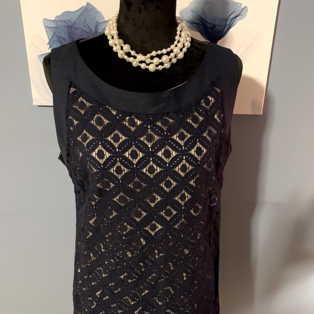 Sharagano Dress
Blue Lace /Tan . Sleeveless size 14 . Zipper in back
